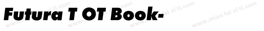 Futura T OT Book字体转换